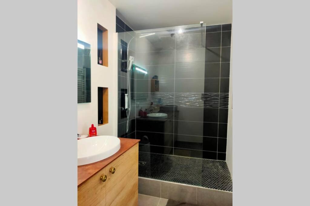 Logement Entier+ Jardin Prive Et Parking 2Places Руан Екстер'єр фото