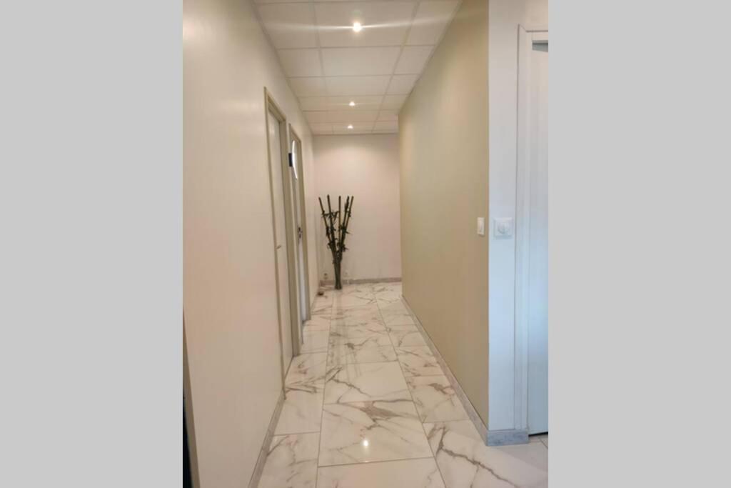 Logement Entier+ Jardin Prive Et Parking 2Places Руан Екстер'єр фото